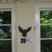 Robert Rowley Photo 45