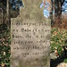 William Arrington Photo 44