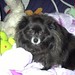 Barbara Morehead Photo 24