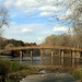 Laurie Battle Photo 15