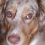 Annie English Photo 2