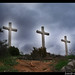David Valdivia Photo 43