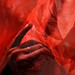 William Ratz Photo 13