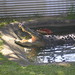 Gregory Atherton Photo 19