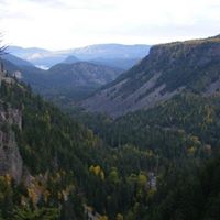Annette Erickson Photo 8
