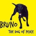 Bruno Bruni Photo 5