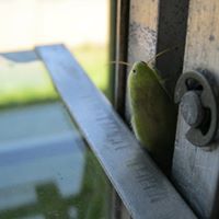 Aaron Delong Photo 6