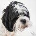 Sherry Watson Photo 45