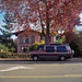Christopher Berkeley Photo 18