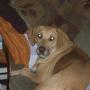 Connie Hull Photo 23