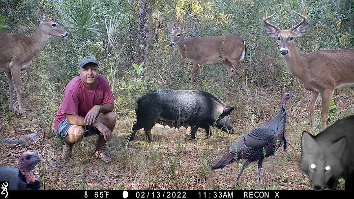 Tim Harrell Photo 37
