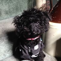 Shirley Lutz Photo 4