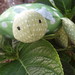 Amy Craft Photo 29