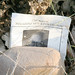 Debbie Bennett Photo 43
