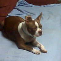 Debbie Easterling Photo 2