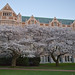Cherry Smith Photo 38