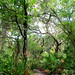 Peggy Park Photo 26