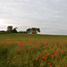 Mark Bakke Photo 24