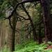 Elizabeth Branch Photo 40