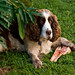 Archie Bush Photo 17