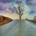 Carl Coats Photo 24