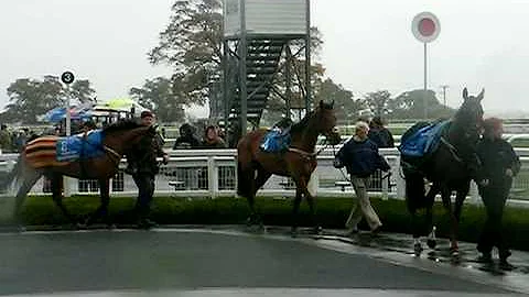 Jane Paddock Photo 9
