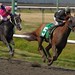Chad Fuentes Photo 23