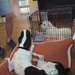 Edgar Short Photo 22