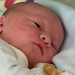 Zachary Sweet Photo 32