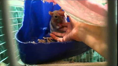 Molly Grooms Photo 8