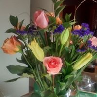 Linda Goodrich Photo 3
