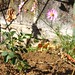 Ruth Rose Photo 45
