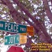 Joy Knox Photo 28