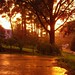 Bob Augustine Photo 25