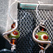 Sue Lawrence Photo 37
