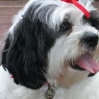 Mabel Allen Photo 4