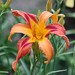 Cathy Bloom Photo 31