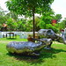Van Ho Photo 38