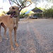 Verna Rose Photo 28