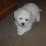 Judy Gonzales Photo 29