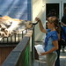 Evelyn Welch Photo 39