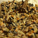 Brandy Stout Photo 25