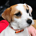 Russell Parson Photo 24