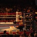 Anthony Cusumano Photo 35