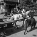 Liping Zhao Photo 22