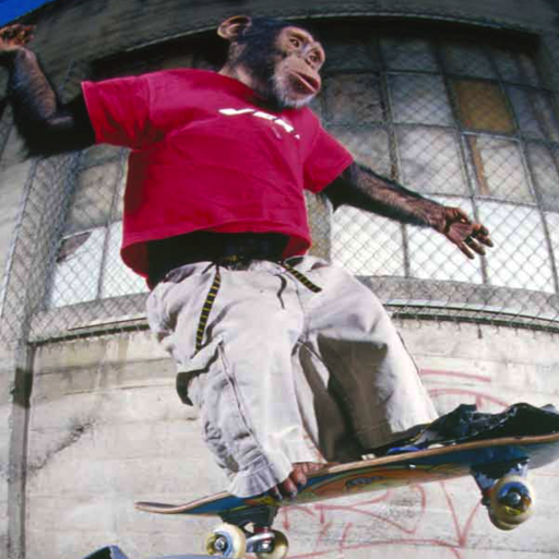Curt Stevenson Photo 5