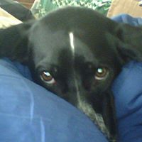 Marianne Brown Photo 9