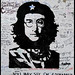 John Guevara Photo 10