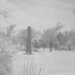 B Bjornson Photo 8