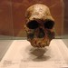 Joseph Della Photo 26